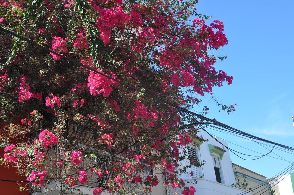 Dona Elvira Boutique Hotel Santo Domingo Szoba fotó